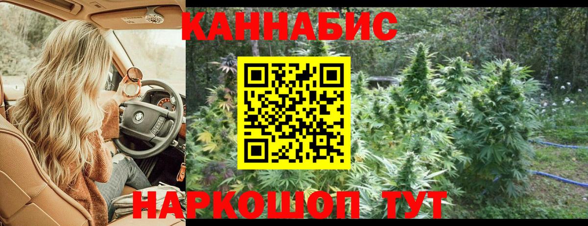 Бошки марихуана конопля  Вход с VPN  Шишки марихуана Ganja  Конопля Amnesia  Россия 